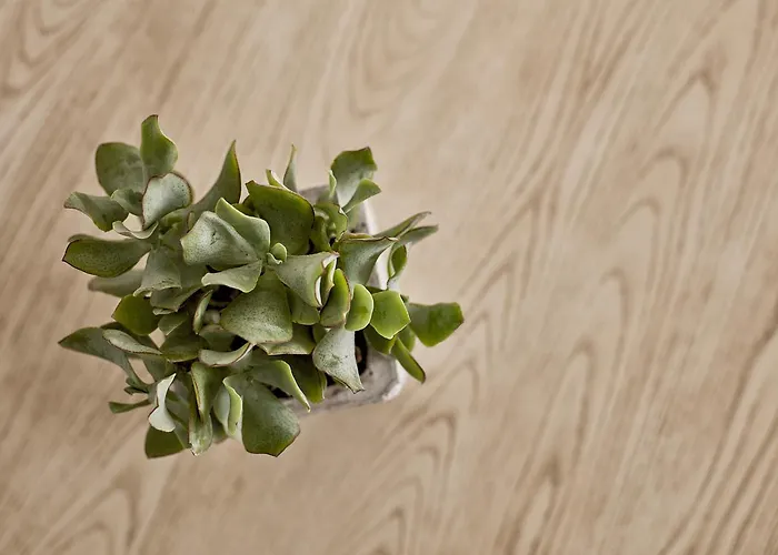 Boho Private Luxury Mykonos Town