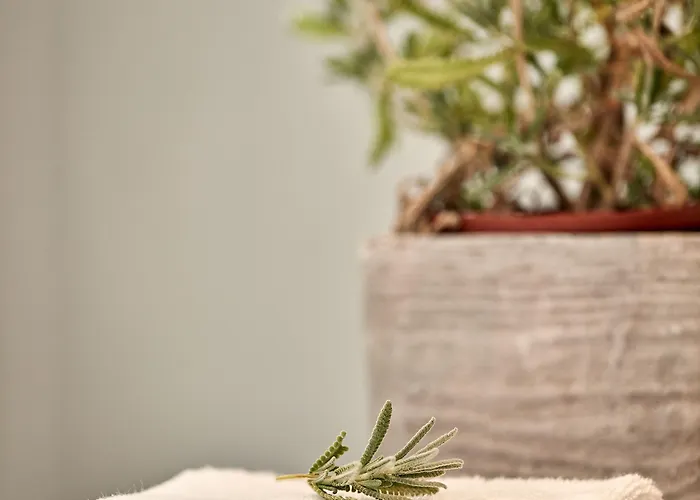 Pensjonat Boho Private Luxury Mykonos Town