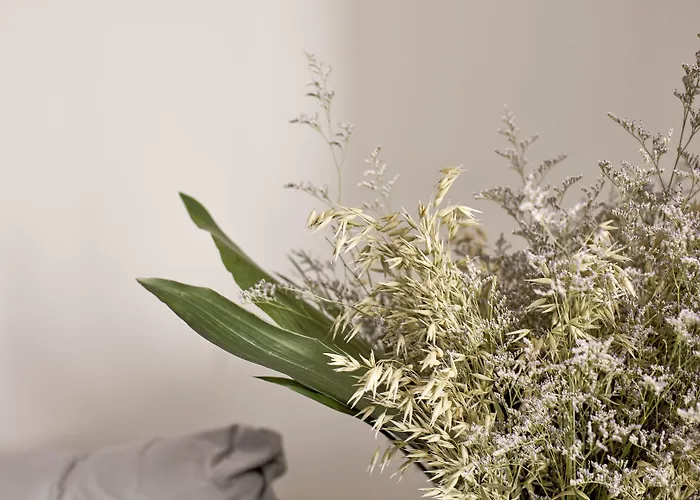 Maison d'hôtes Boho Private Luxury 4*